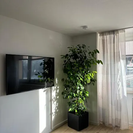 Modernes In Reusa * Plauen