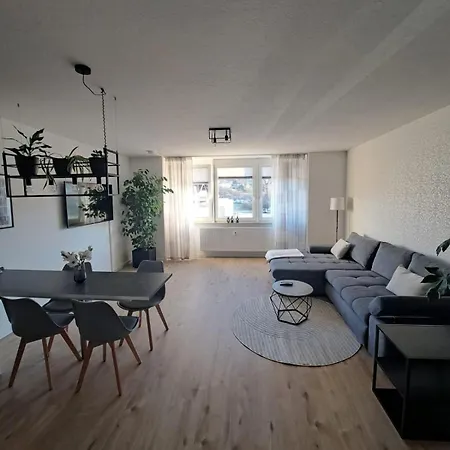 Modernes In Reusa Apartament Plauen