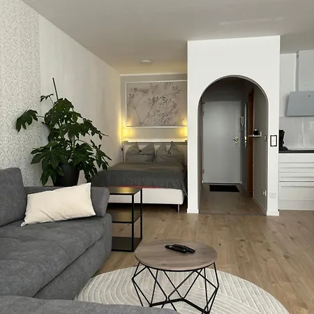 Modernes In Reusa Apartament Plauen